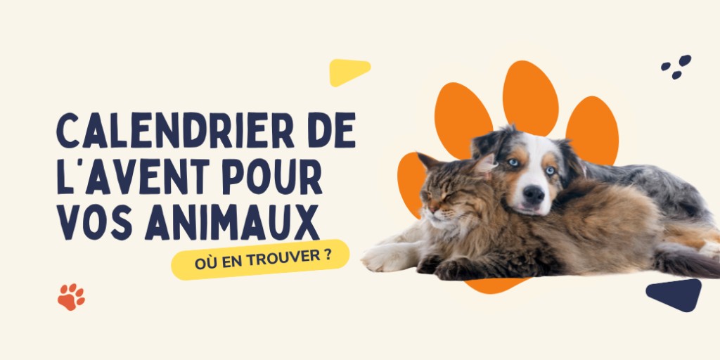 Et si cette année, vous faisiez plaisir à votre animal avec un calendrier de l’avent fait pour lui ?