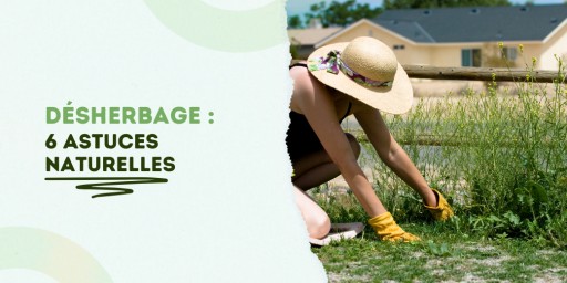 Envie d’un jardin propre sans produits chimiques ? Voici 6 astuces naturelles pour désherber, sans abîmer la planète.