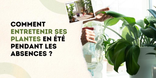 Vous partez en vacances et redoutez de retrouver vos plantes fanées à votre retour ? On vous partage toutes les astuces simples pour les garder en forme, même sans être là.