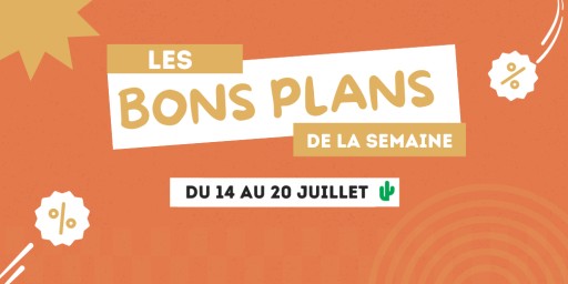 Mode, maison, jardin : faites le plein de bonnes affaires chez Cactus pendant les soldes !