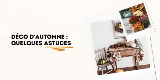 Envie d’un intérieur plus chaleureux cet automne ? Avec quelques astuces simples et accessibles, transformez votre maison en un cocon, sans gros budget.