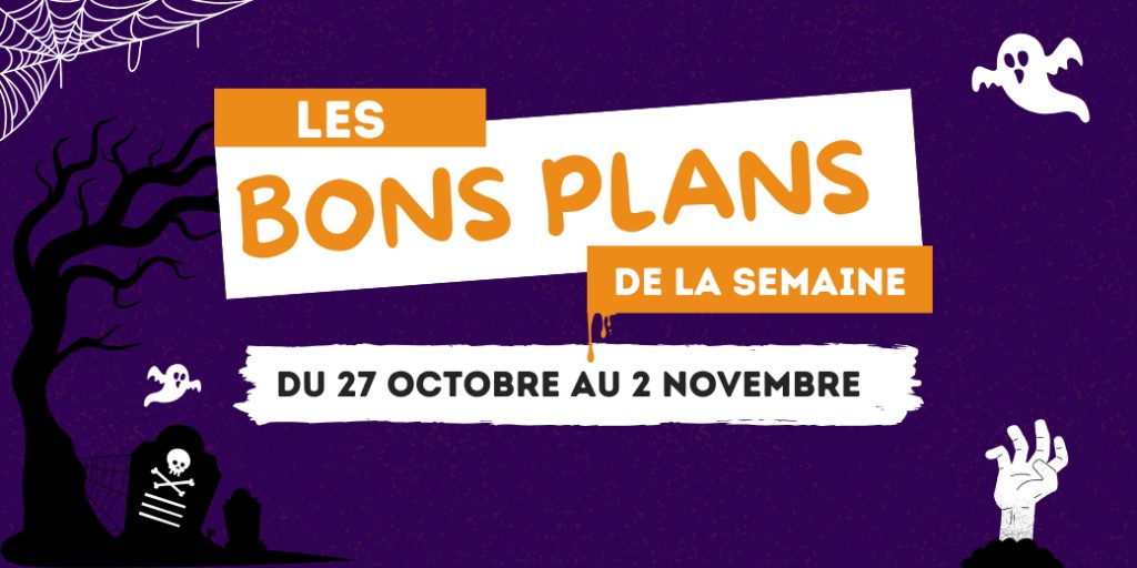 Les catalogues de jouets arrivent petit à petit… et chez Lidl, les promos sont déjà là.