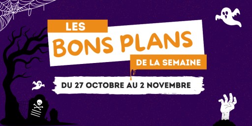 Les catalogues de jouets arrivent petit à petit… et chez Lidl, les promos sont déjà là.