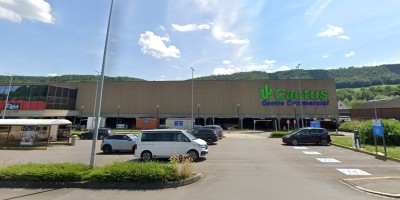 Cactus Ingeldorf : catalogue, promos et offres